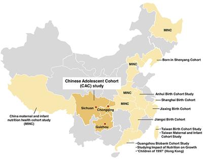 The Chinese Adolescent Cohort Study: Design, Implementation, and Major Findings